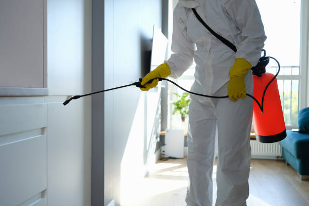 Best Mold Damage Repair  in Quinnesec, MI